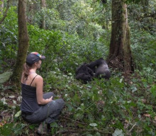 Guide to Gorilla Trekking in Uganda