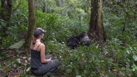 Guide to Gorilla Trekking in Uganda